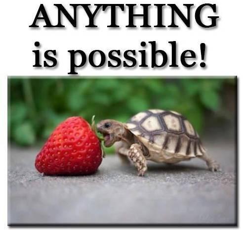 Attached Image: anything-is-possible.jpg (JPEG Image, 576נ576 pixels).jpg